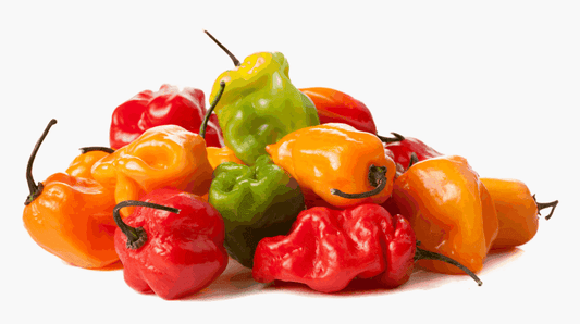 Habanero Hot Peppers - 1LB